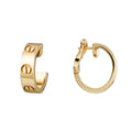 Small earrings gold